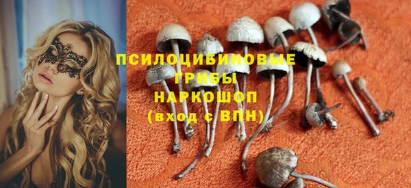 амф Заводоуковск