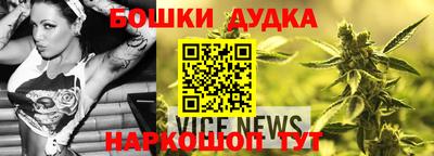 молекула духа Камышлов