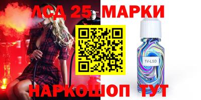 молекула духа Камышлов