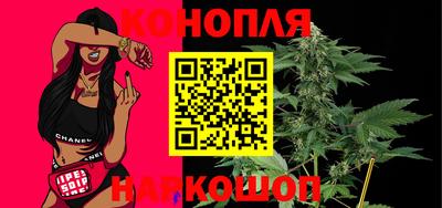 молекула духа Камышлов