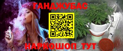 молекула духа Камышлов