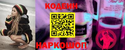 молекула духа Камышлов