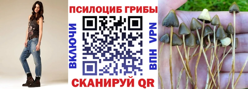 Галлюциногенные грибы Psilocybine cubensis  даркнет сайт  Сегежа 