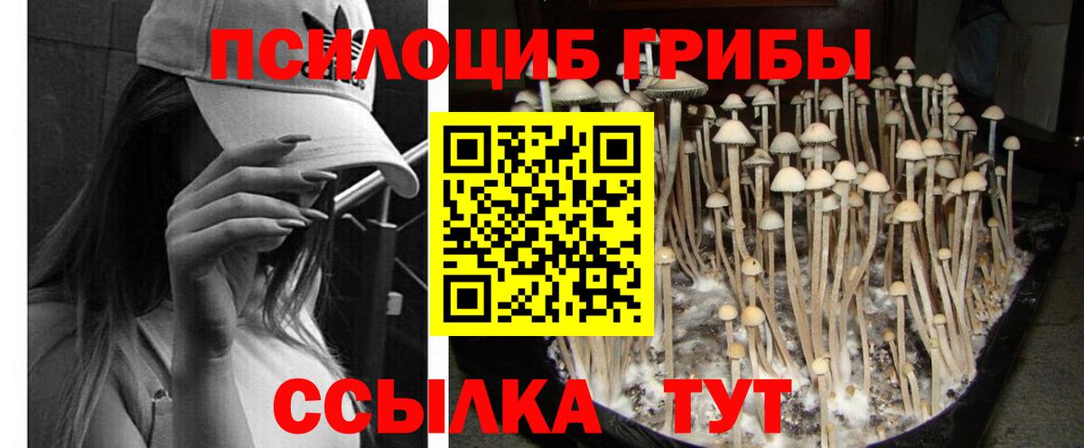 Галлюциногенные грибы ЛСД Сегежа